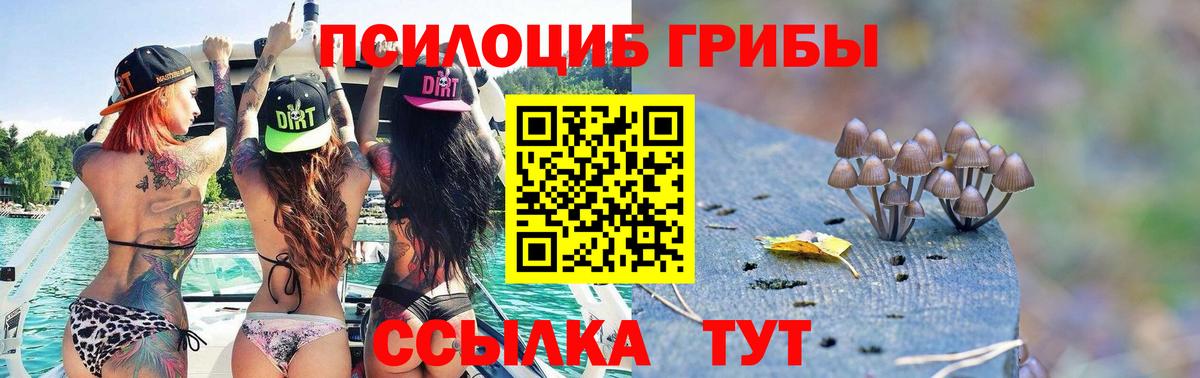 Галлюциногенные грибы ЛСД  Вход с VPN  Назрань 