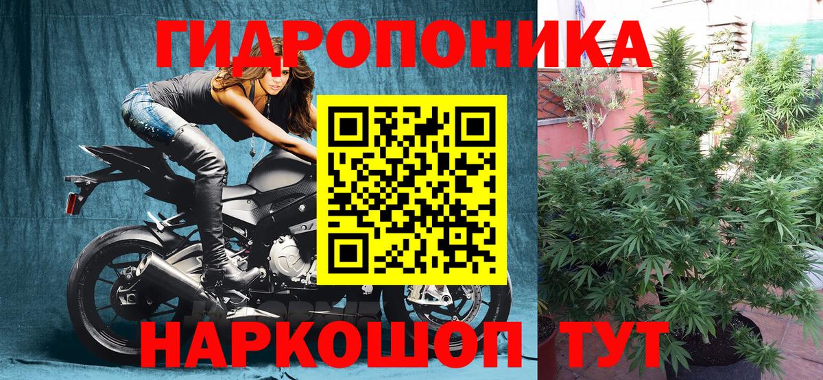 МАРИХУАНА SATIVA & INDICA  Вход с VPN  Марихуана индика  Конопля AK-47  Марихуана Amnesia  Назрань 